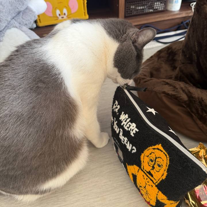 615e3700 c248 44b1 b7ea 6efde30bb2c2 1765079666137