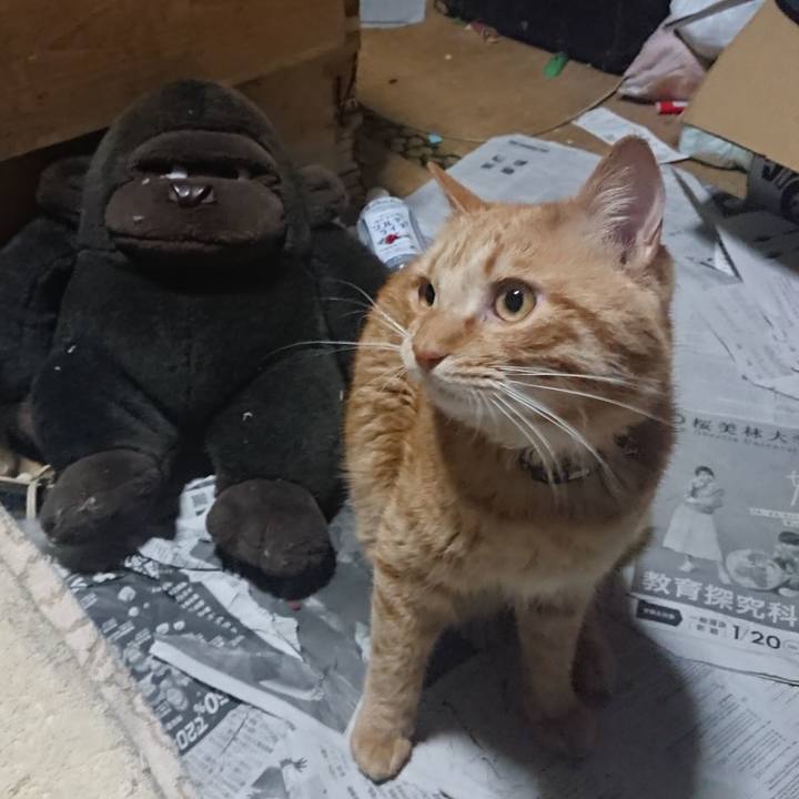 615e405d 01c1 4d91 a3ad e0cc0192634b 1654462675695