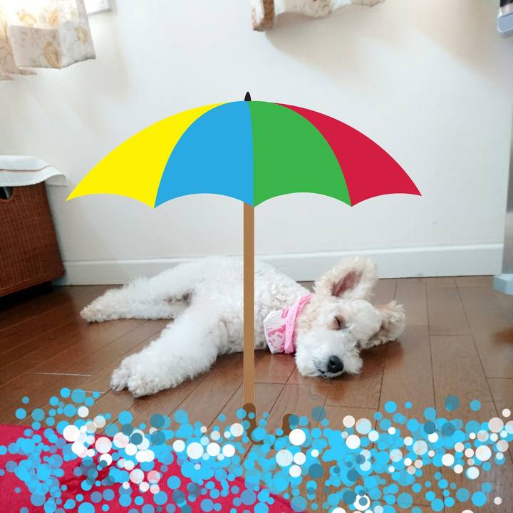 615e6013 b4c9 4330 bb86 0de876213160 1531972582071