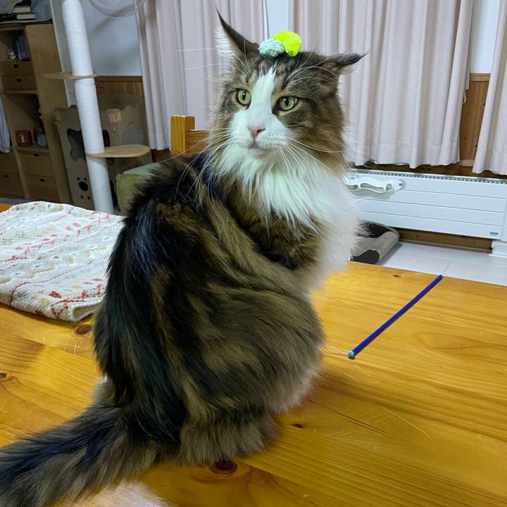 615e7cb2 64d7 4147 98ee 4baf57e5c097 1738183258133