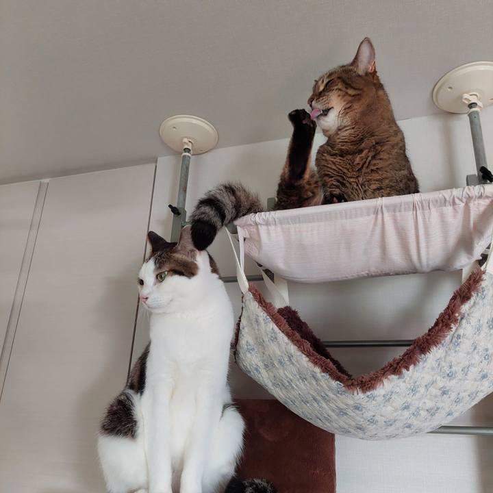 615e8323 1e91 4102 9b05 3147a322daeb 1697670475965