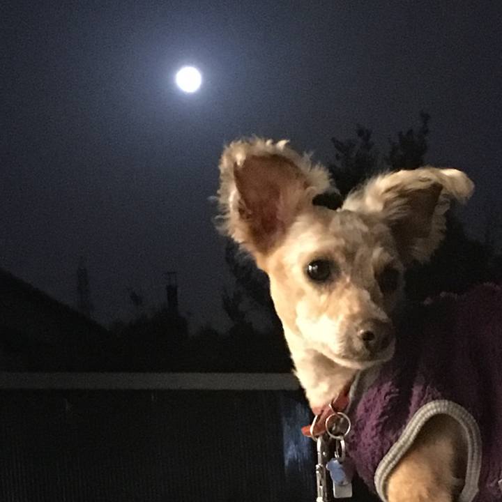 615e9ebd d531 4004 9f9f 5a1ccca0f11a 1522491853907