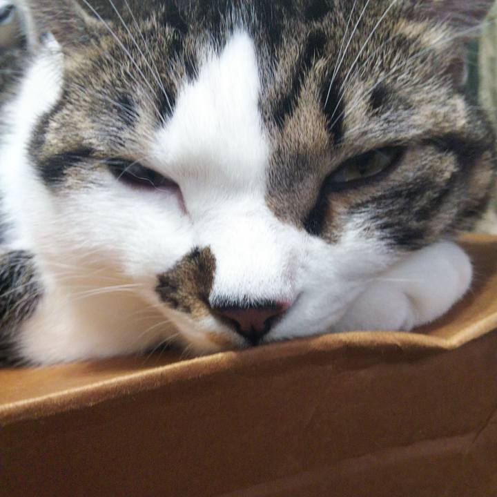 615ec431 b057 4578 8e48 5cd166499e27 1633236875360