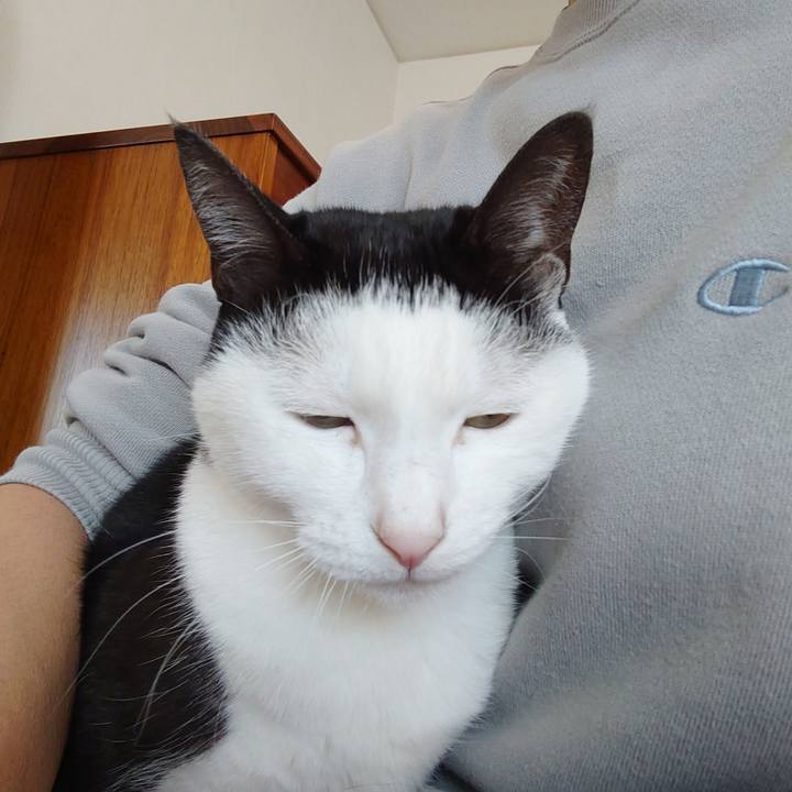 615ecbaf 8565 4c1b 94e1 607b964739d7 1636081714909