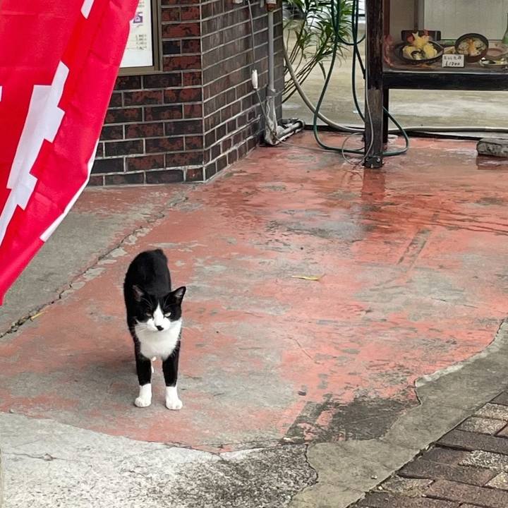 615f1220 f104 47d6 8216 72d2256867f5 1727047839796