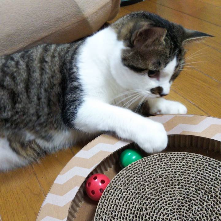 615f314e b9cd 4766 bf08 eb9d24381400 1630415148530