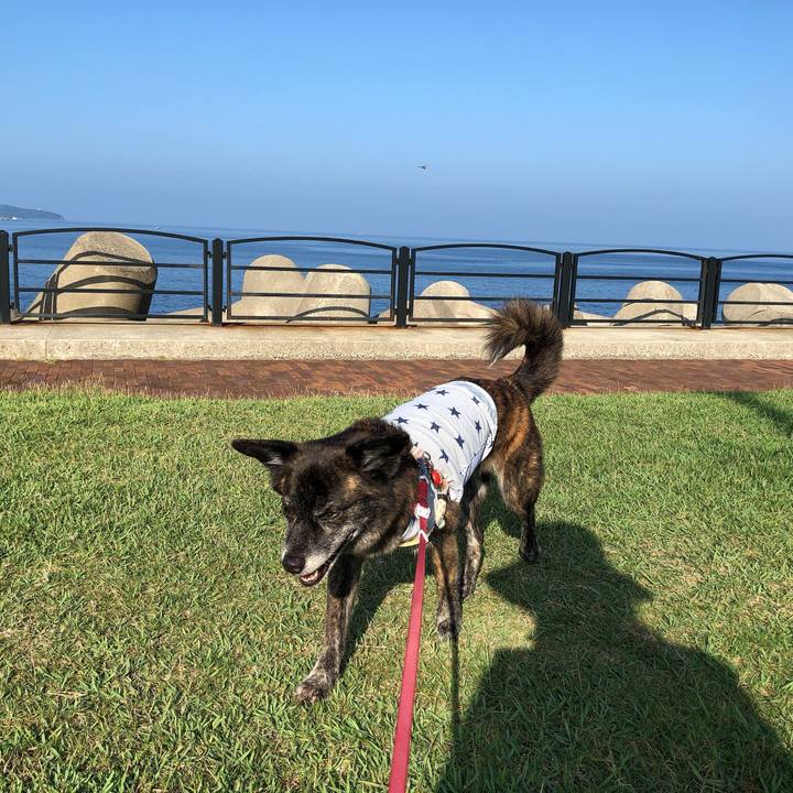 615f3acb 4908 42db afed 5d02602e6c45 1597625159295