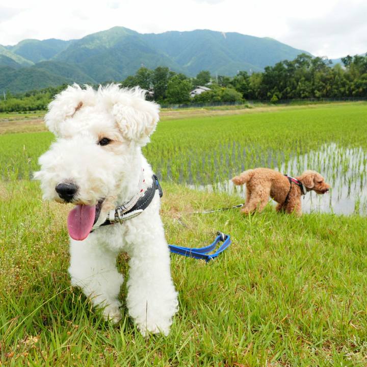 615f3c48 b180 4980 8347 61bf1a1948c0 1527905889790