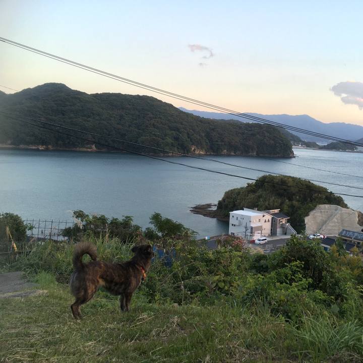 615f5c15 4fd8 49df 986c fcc375975f89 1509788788906