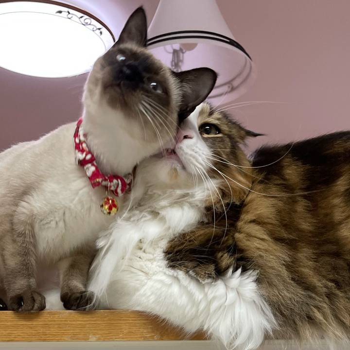 615f5ded d730 4ad0 8649 0ce3e57b375b 1702151983047