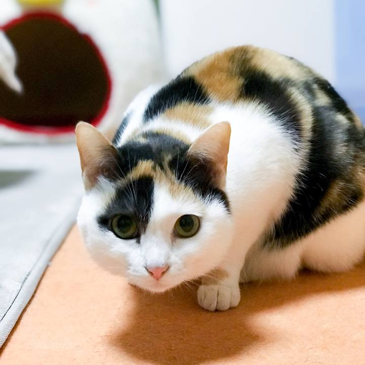 615f6c71 28bb 46cf b2a3 671e5adfdd3c 1514850999511