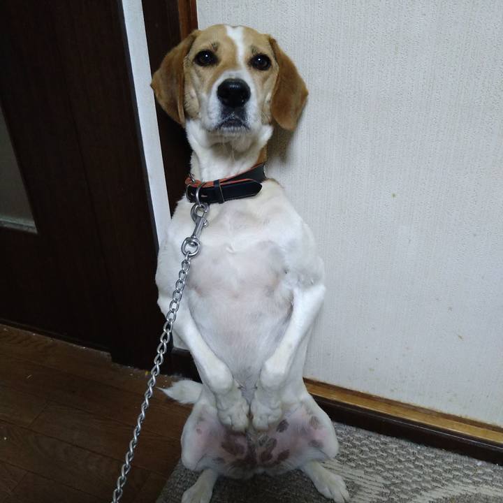 615f962f 3f11 4b0f a61d 509361d779d4 1626442648145