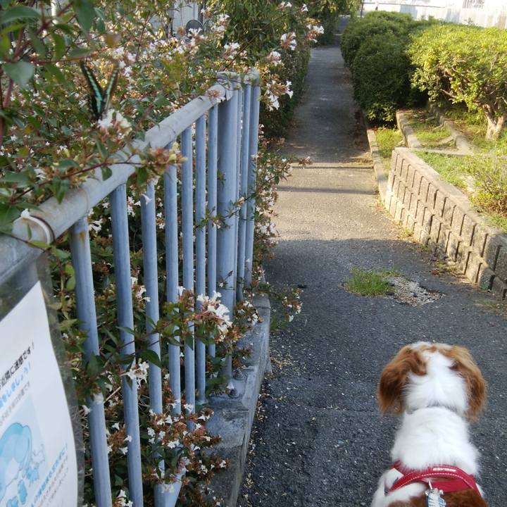 615fd0e9 f8e4 4b83 ad80 7132a809764f 1531698952731