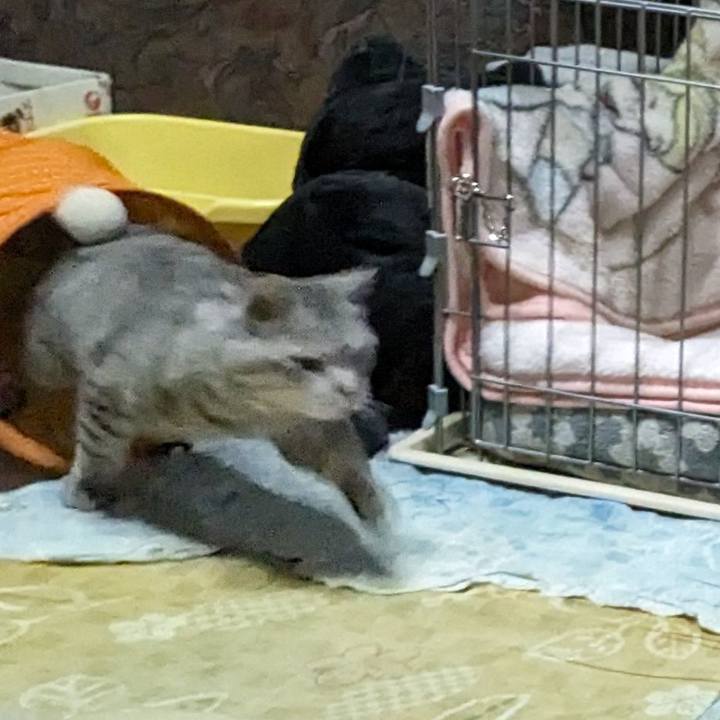 6160315d fdd9 41fa 87e7 d0bb826b348d 1716734001420