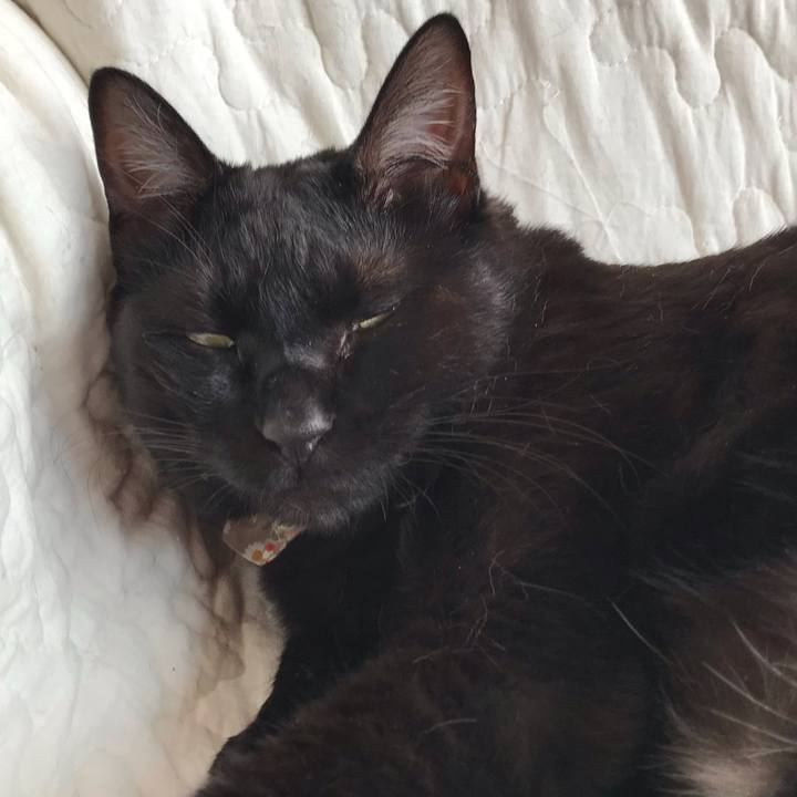 616068db db33 46b9 bc08 8668f8c8ed1e 1617750126501