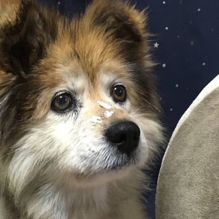 61606ff6 1f4e 44ff 9e38 fc71bd829165 1589689580839