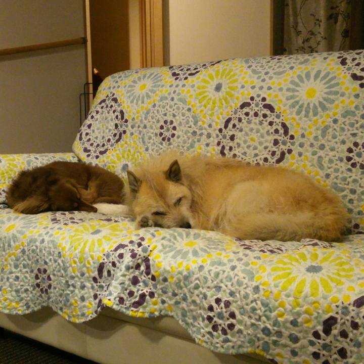 616074e8 13b8 42ed 967c c9e5e327eda6 1529233199767