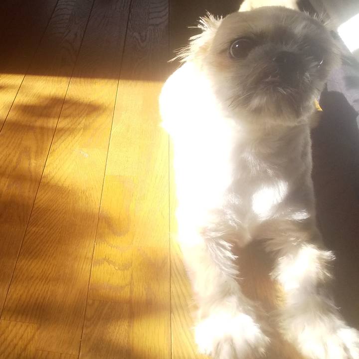 61608f0d 7345 4cae 9015 be01fb568e30 1724453391564