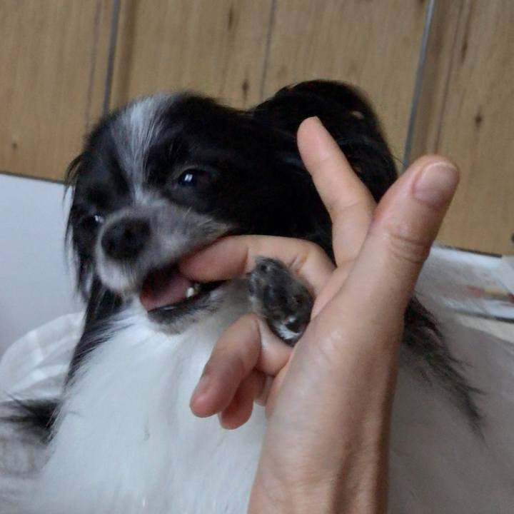 61609e63 da1d 4708 aae8 9f8a38ae2865 1539897797008