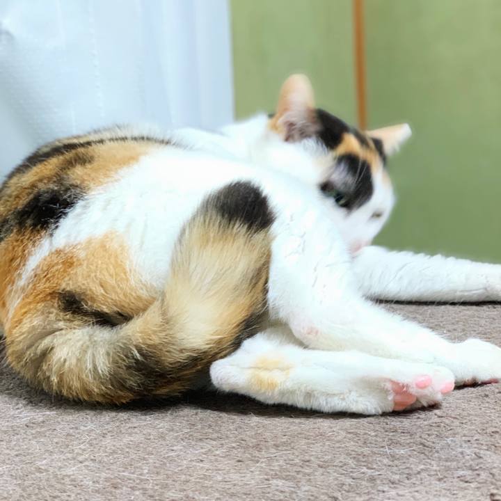 6160b8b8 938f 4074 8301 14f108d3469b 1553479320553