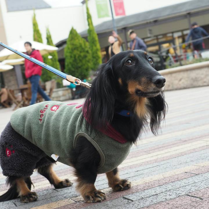 6160ec92 600e 4a73 a626 8cc70f64b3a1 1575877185123