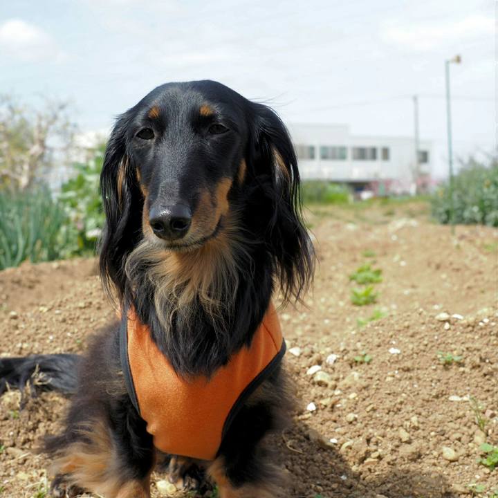 61610839 5c2a 4299 8cc4 2850809b160b 1555036561129