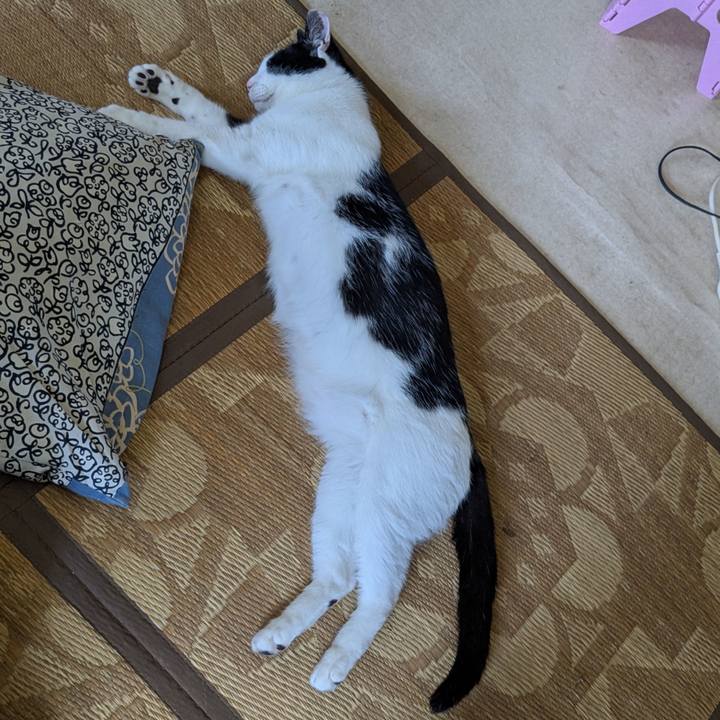 616111d9 996c 4a23 b98d 83dbf50cdb70 1750212752375