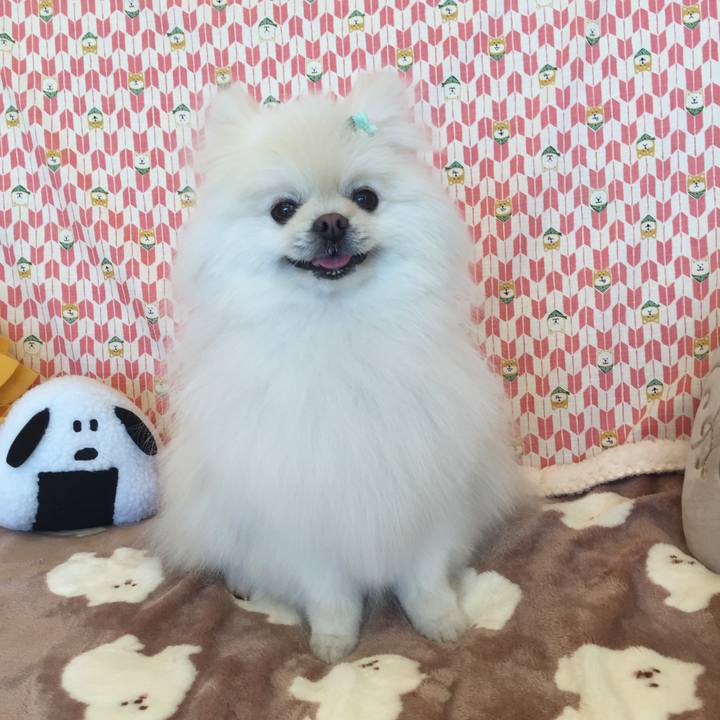 616120ca cfc2 428e 9ac7 7ca50e713df9 1611290197264