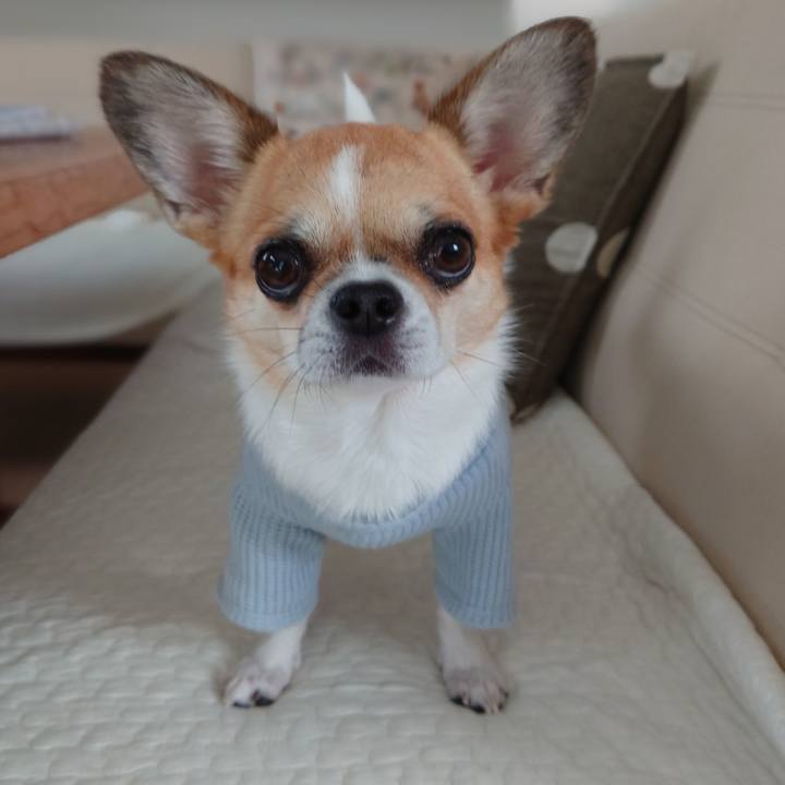 61617103 a9ae 40b9 8c58 274cbd8a8c38 1663832058090