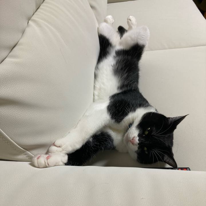 616190ca 4e78 4ccd 96f5 2d515c9660e7 1722269391886