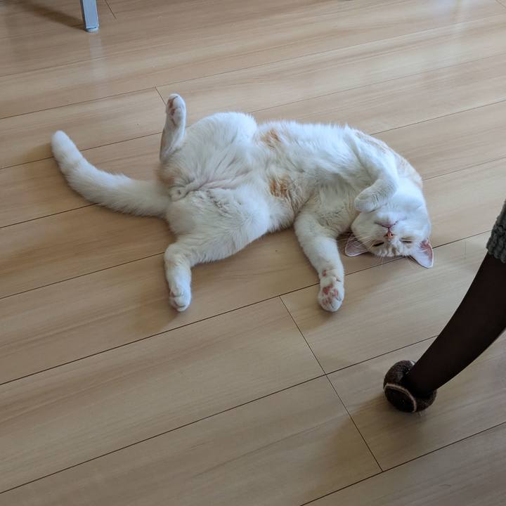 61619c0a be27 43bb bf6c 06c926768377 1694401357166