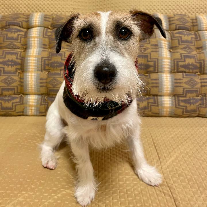 6161b01d 5f66 4353 b426 e85087738d53 1675426093121