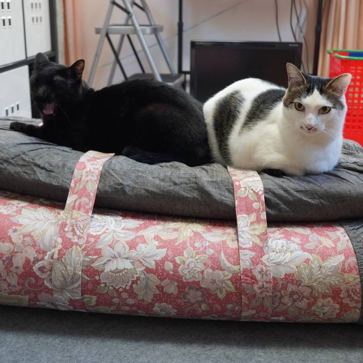 6161b1e2 a682 46a4 8d24 b773cb9e44ca 1607868096346