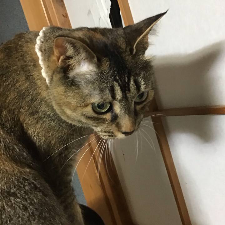 6161b2fb a287 41eb 8922 d54947fc6ce0 1688216866372