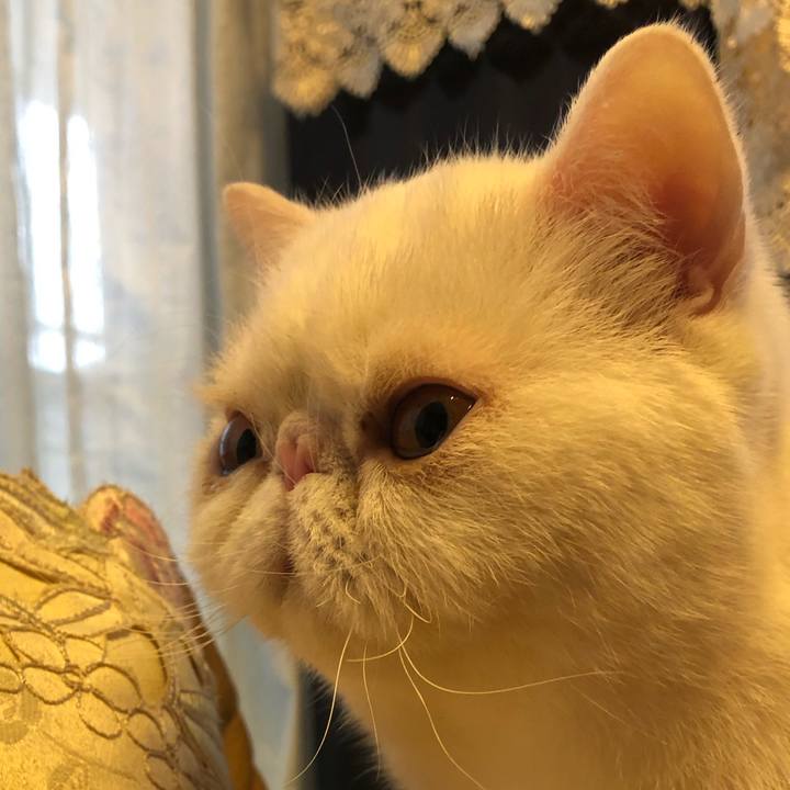 6161d264 74eb 464f 8e36 0596ba7b81fe 1615633492071