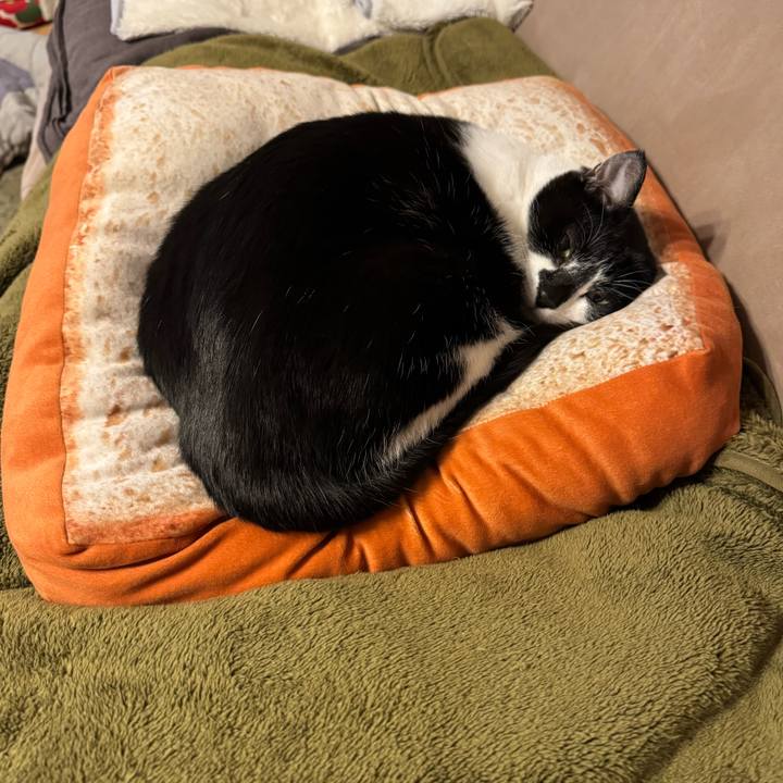 6161f915 700c 4982 97f6 981fe6230f71 1768445960282