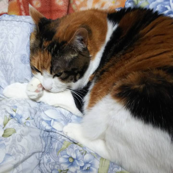 616245d9 0aa3 4815 8ebc 1e3caedce385 1549921793471