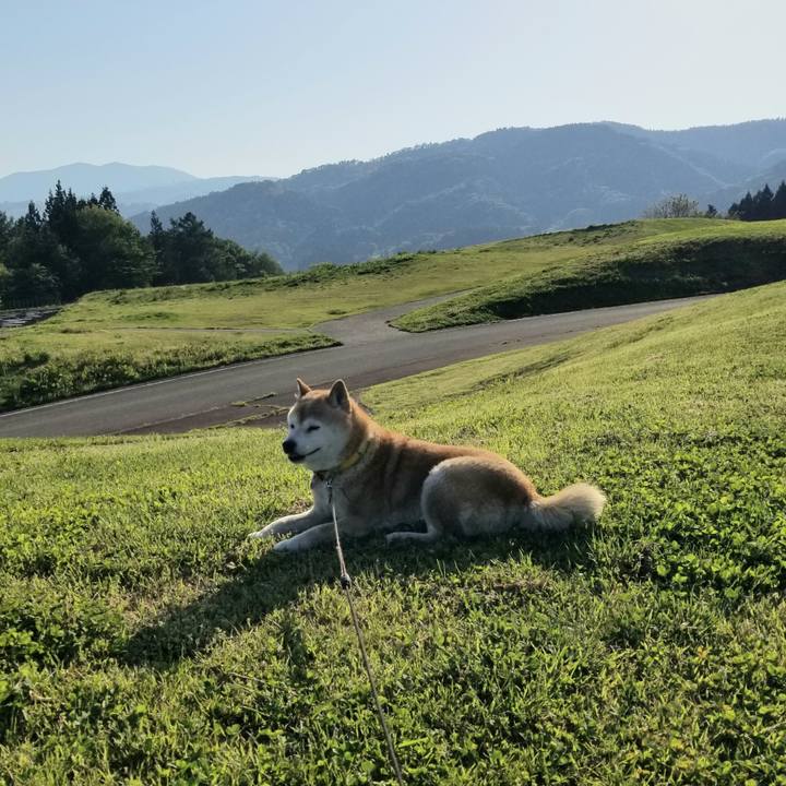 616268de 1f33 471c 8682 fe48b614b0c3 1683617962449