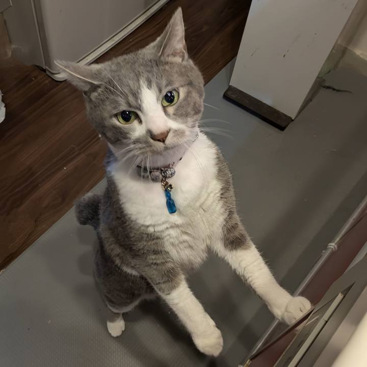 61629230 4d11 49b6 b480 8e377df96595 1753009294241