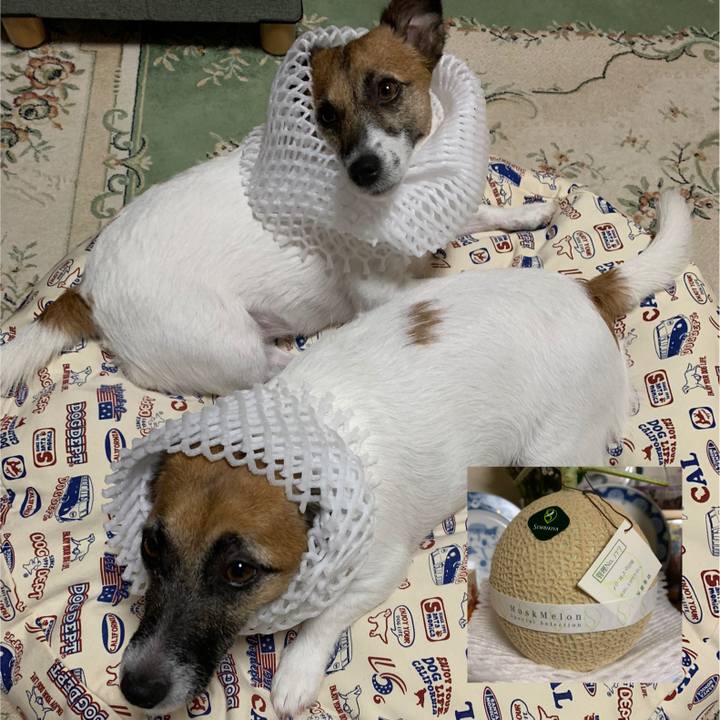 6162a16f 74b3 44af 8f1d 88e06ddb3077 1571325922456