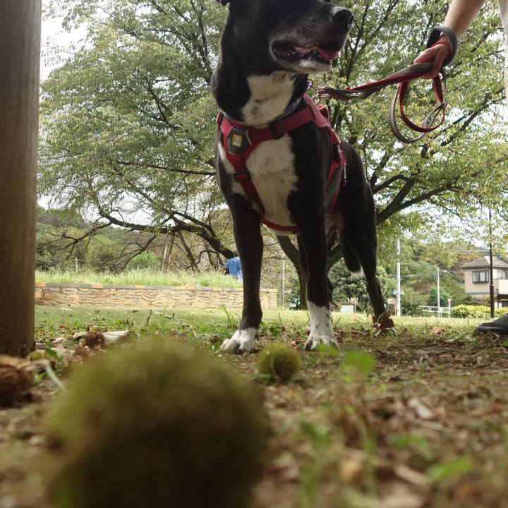 6162a192 13e9 49c3 b527 fdf633216ab7 1696034092922