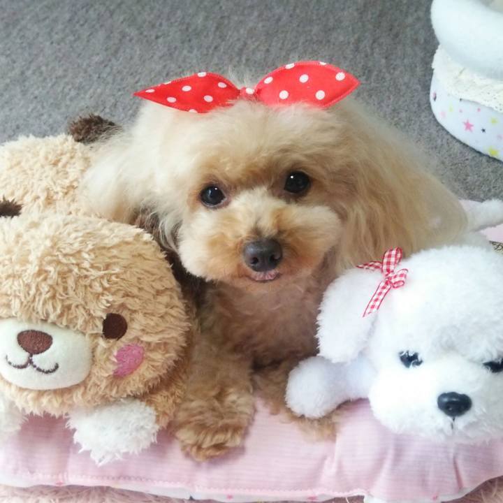 6162a540 b6b3 44a6 b1a9 56e6d7829ebf 1560856605369