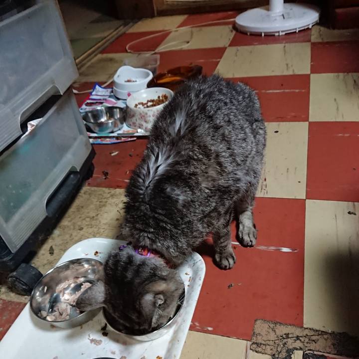 6162d1a0 10df 4331 83f0 8c9b83a4ca89 1594293275978