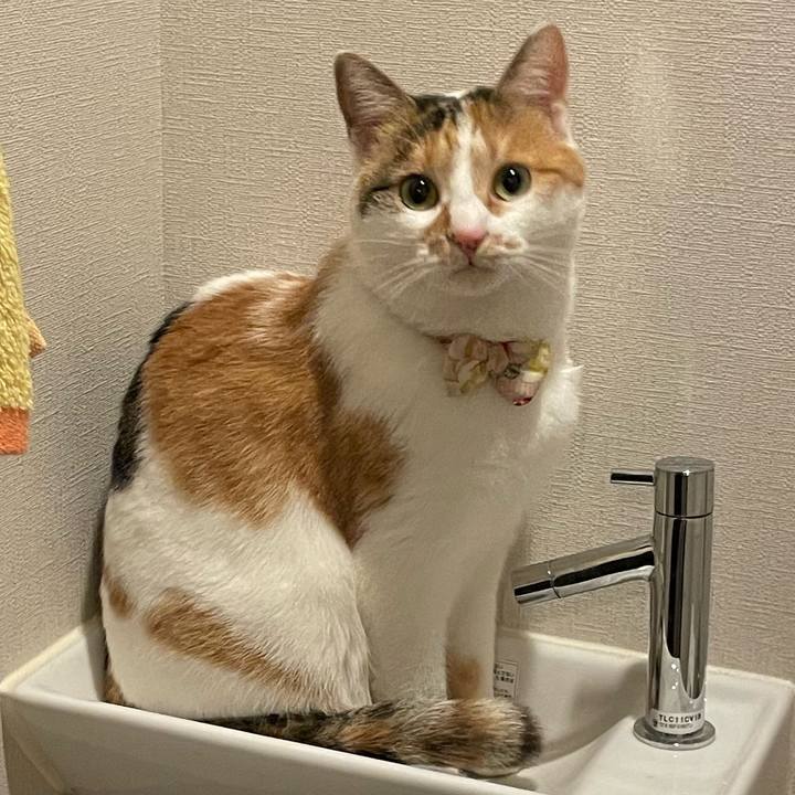 6162d63b 36d4 4b4f a5db 56a901d19185 1639006460165