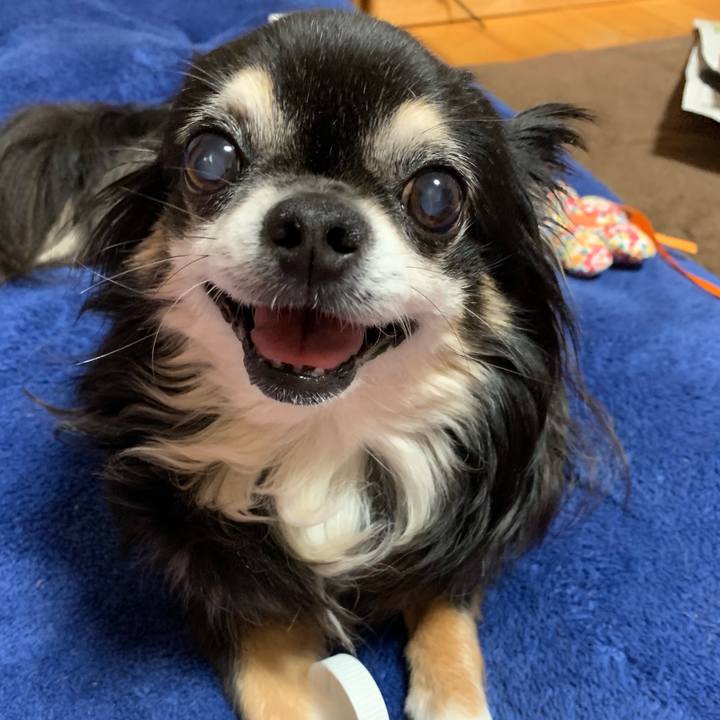 6162e593 e31b 4826 b5f9 f045144f0604 1559651670250