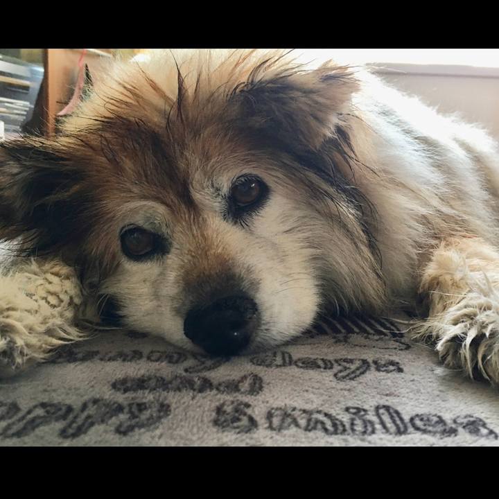 6162f0c7 0b27 4529 a0d8 22e01fa9af16 1563178454074