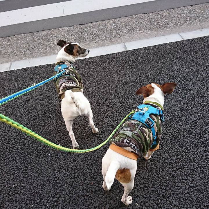 6162fdeb 9327 4657 827a 877a79ee4ee3 1581410161475