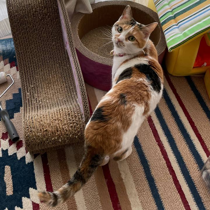 61630021 832f 4d20 915c 7eb7b47c47dc 1649720035833