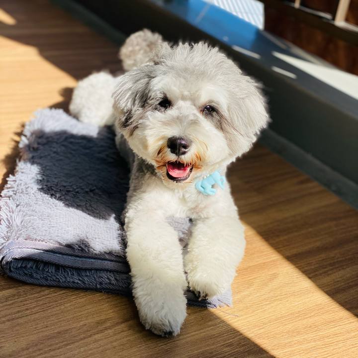 61630b3b 8940 4725 8129 85cc97fd4852 1618034698439