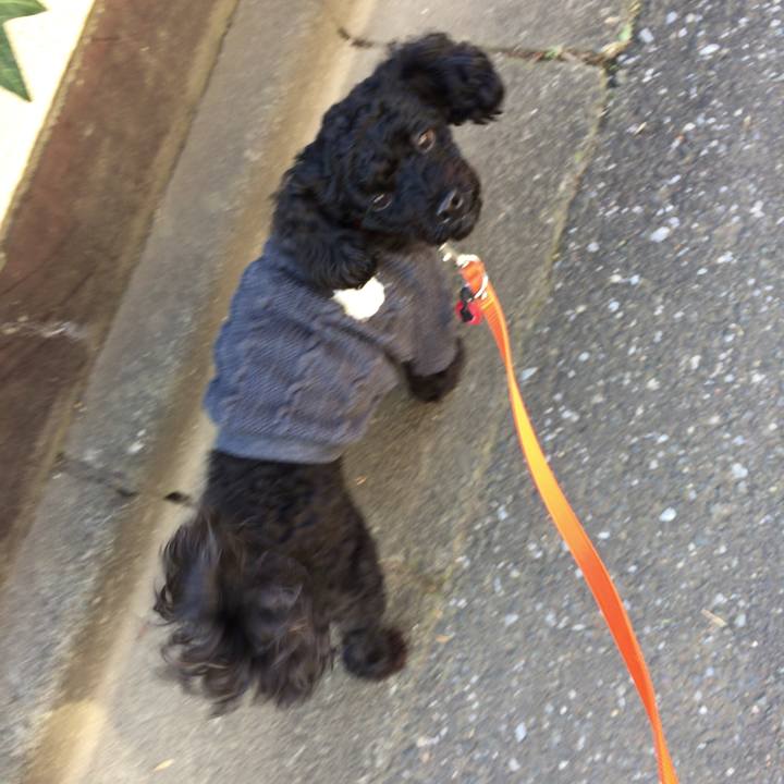 61631772 56f9 464f 87a5 0ac59e041dbf 1513909462548